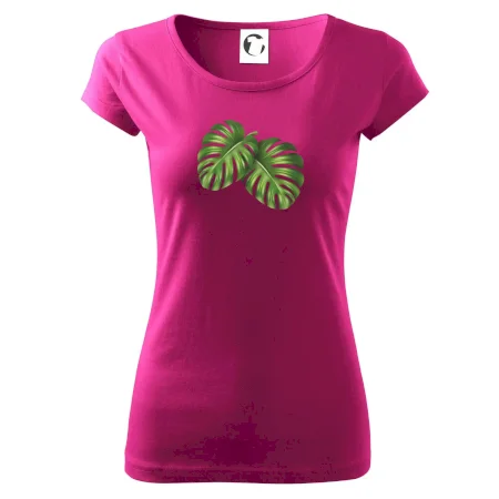 Monstera - dva listy