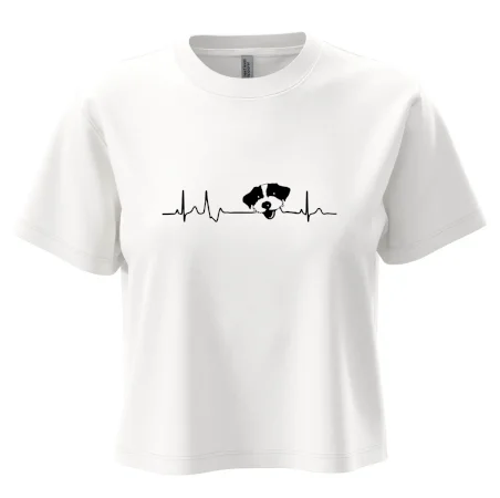 Jack Russell Teriér hrubosrstý Ekg
