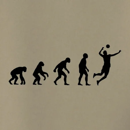 Evolúcia volejbal smeč