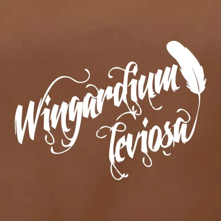 Harry - Wingardium Leviosa