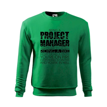 Being A Project Manager - bike