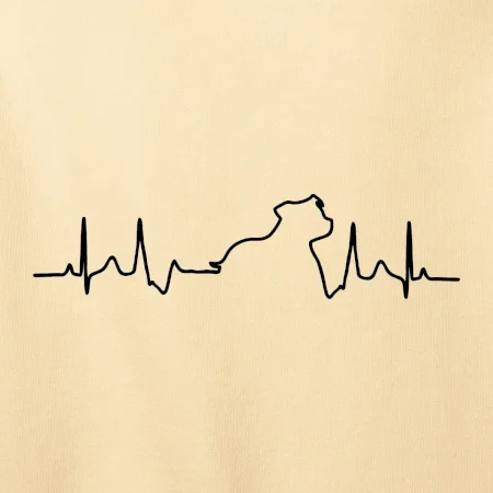 Stafordšírsky bulteriér ‎ EKG