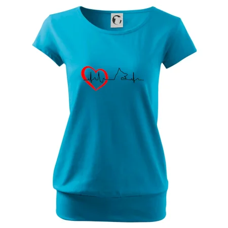 Nemecký ovčiak ekg