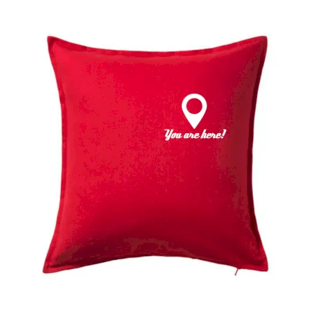 You are here