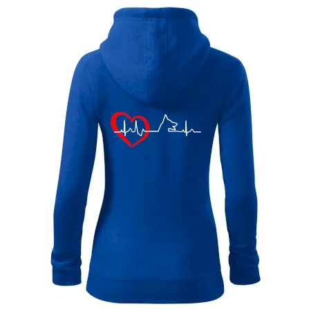 Nemecký ovčiak ekg
