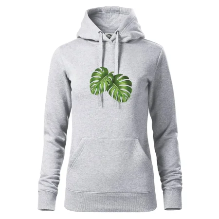 Monstera - dva listy