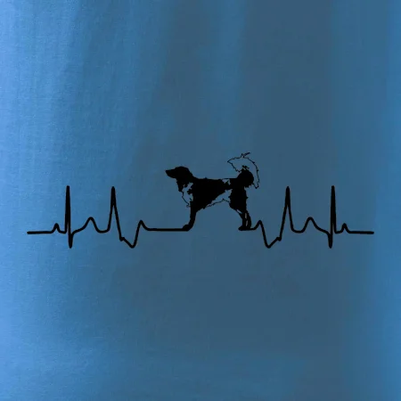 Český strakatý pes EKG