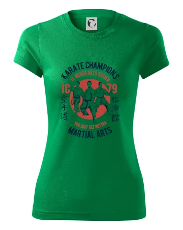 Karate Champions