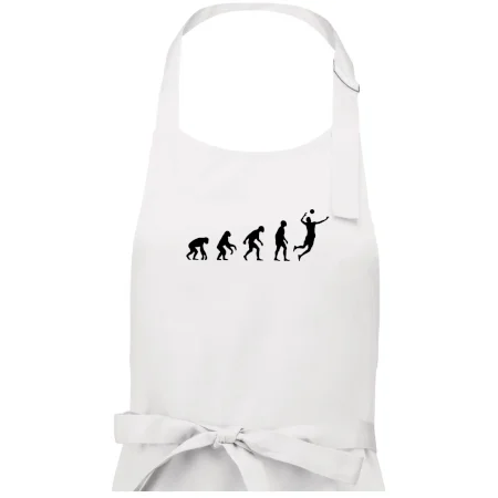 Evolúcia volejbal smeč