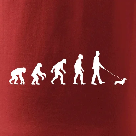 Jazvečík Evolúcia muž