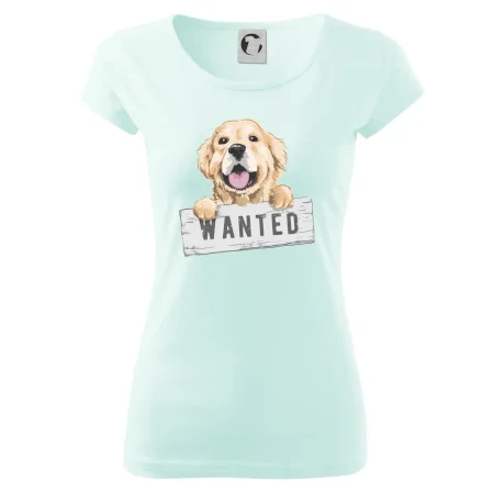 Zlatý retriever - šteniatko wanted