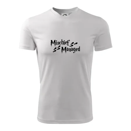 Harry - Mischief Managed