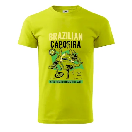 Brazilian Capoeira