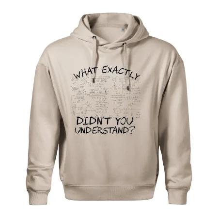 What exactly didn't you understand - physics