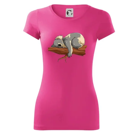 Koala na vetve