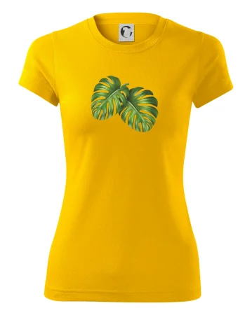 Monstera - dva listy