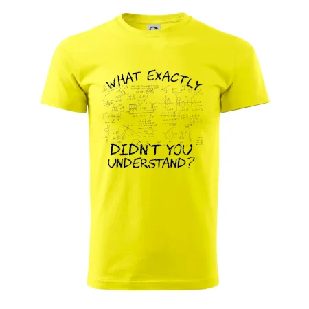 What exactly didn't you understand - physics