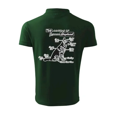 Nemecký ovčiak - Anatómia