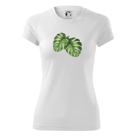 Monstera - dva listy