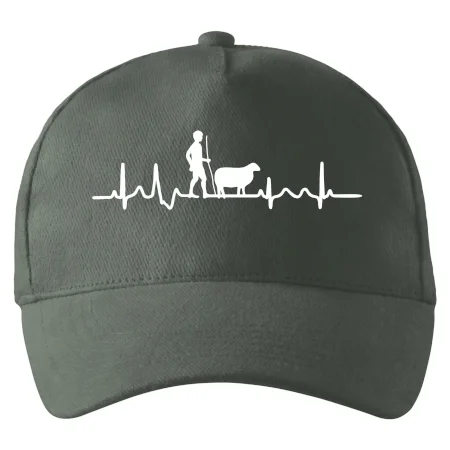 Ekg pastier oviec