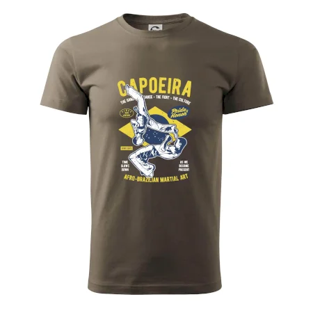 Capoeira  Afro-brazil art