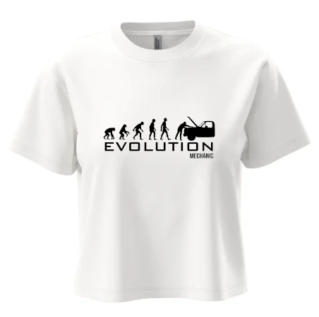 Evolúcia mechanik