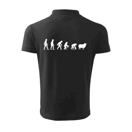 Evolúcia ovce