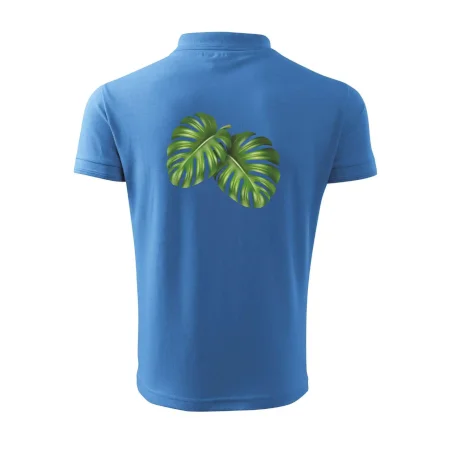 Monstera - dva listy