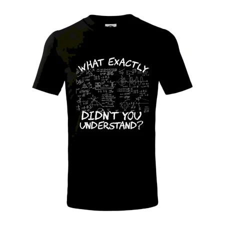 What exactly didn't you understand - physics