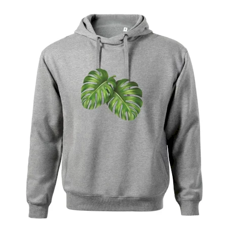 Monstera - dva listy