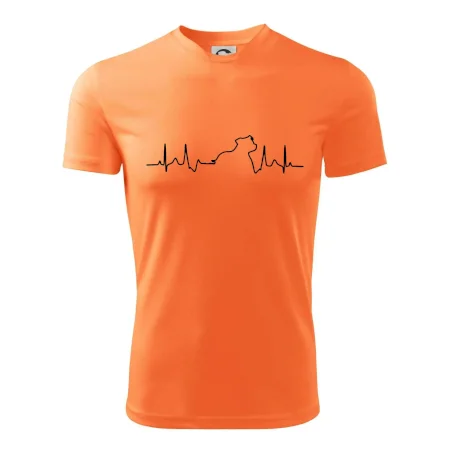 Stafordšírsky bulteriér ‎ EKG