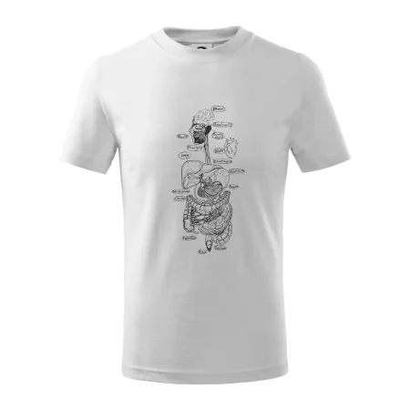 Skica ľudských orgánov