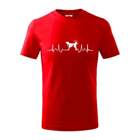 Český strakatý pes EKG
