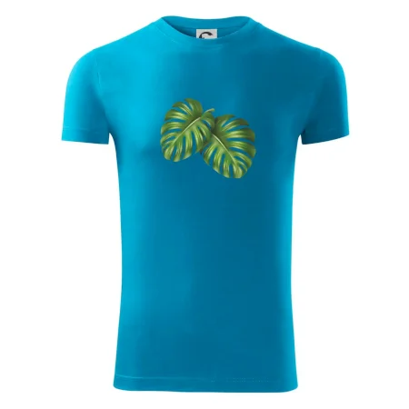Monstera - dva listy