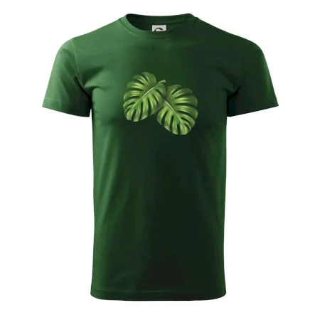 Monstera - dva listy