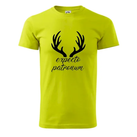 Harry - Expecto patronum