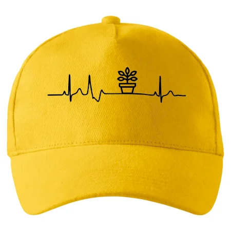 EKG fíkus