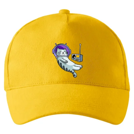 Mačka na mesiaci