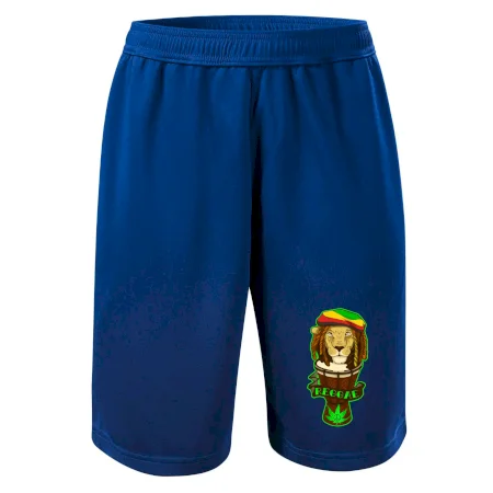 Reggae lev