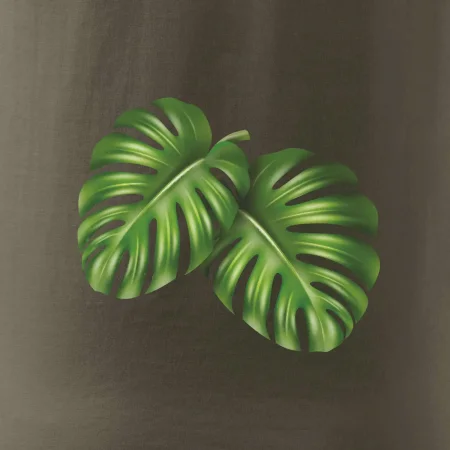 Monstera - dva listy