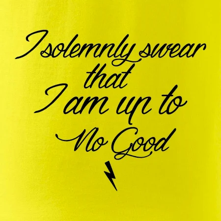 I solemnly swear that I'm up to no good