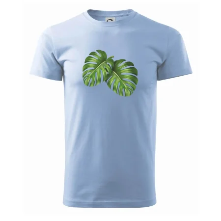 Monstera - dva listy