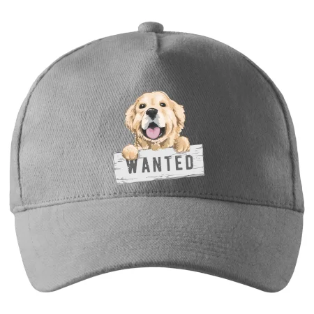 Zlatý retriever - šteniatko wanted