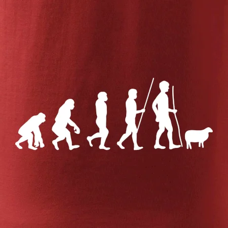 Evolúcia pastier oviec