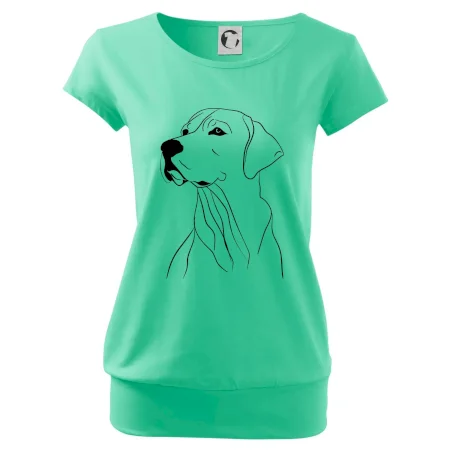 Labrador čierna kresba