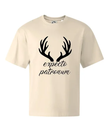 Harry - Expecto patronum