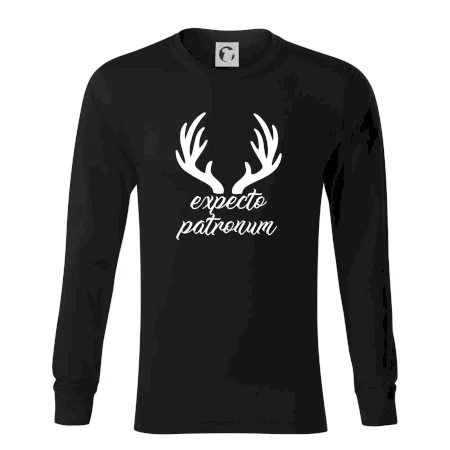 Harry - Expecto patronum