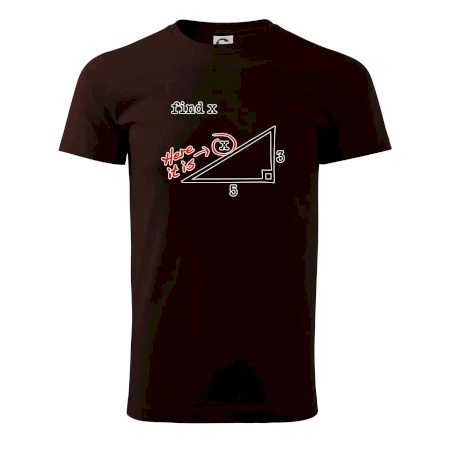 Find X - geometria
