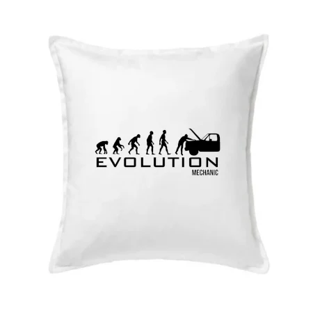 Evolúcia mechanik