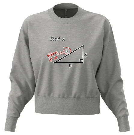 Find X - geometria